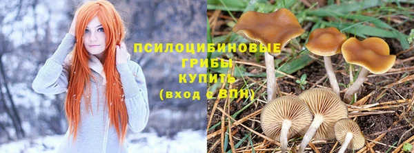 спиды Навашино