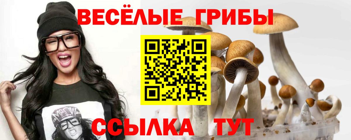 Псилоцибиновые грибы MAGIC MUSHROOMS Чита